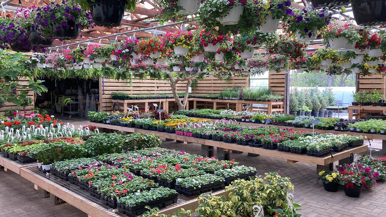 A greenhouse filled with lots of potted plants and hanging baskets.