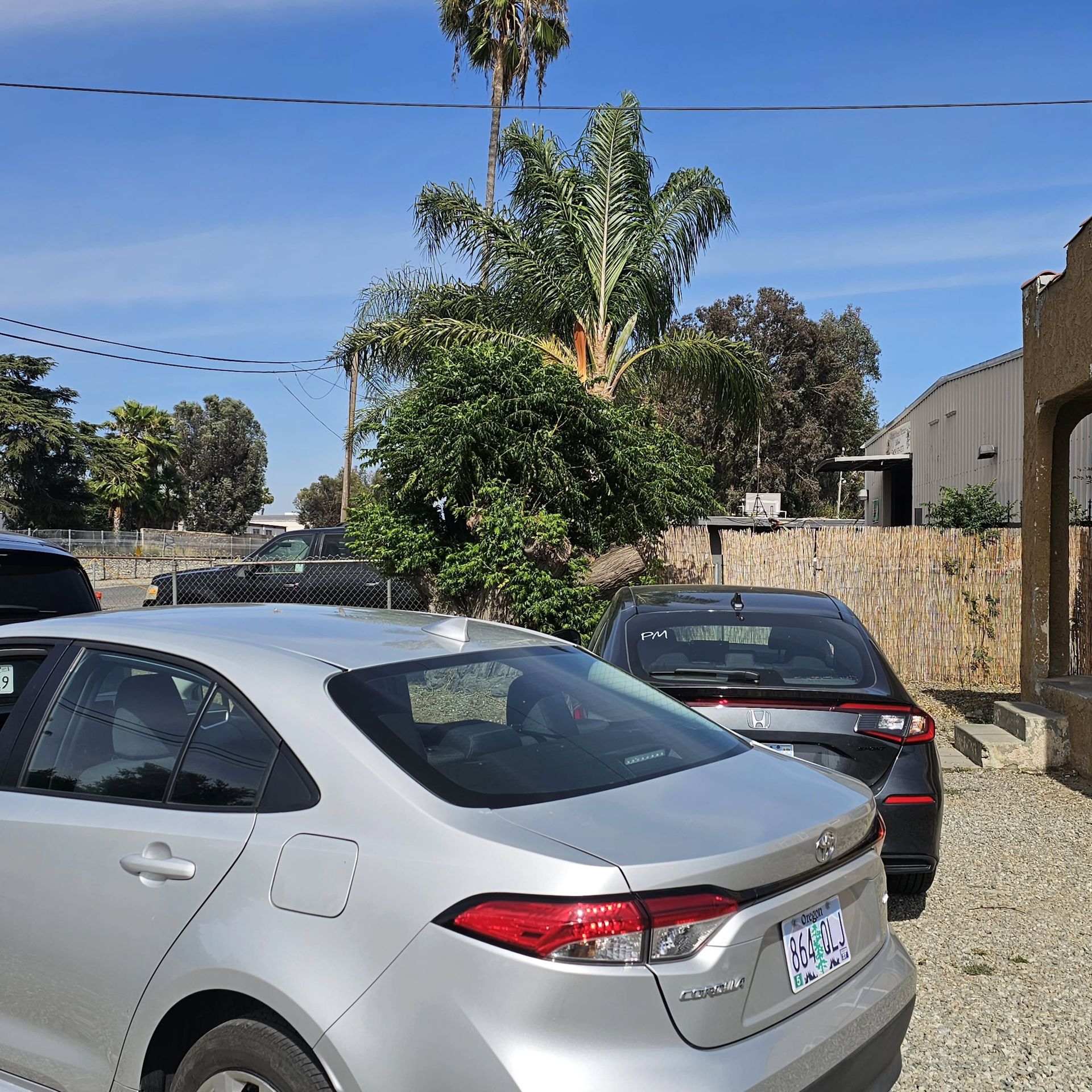 Parked silver sedan and black car on a sunny residential street with palm trees and a fence.