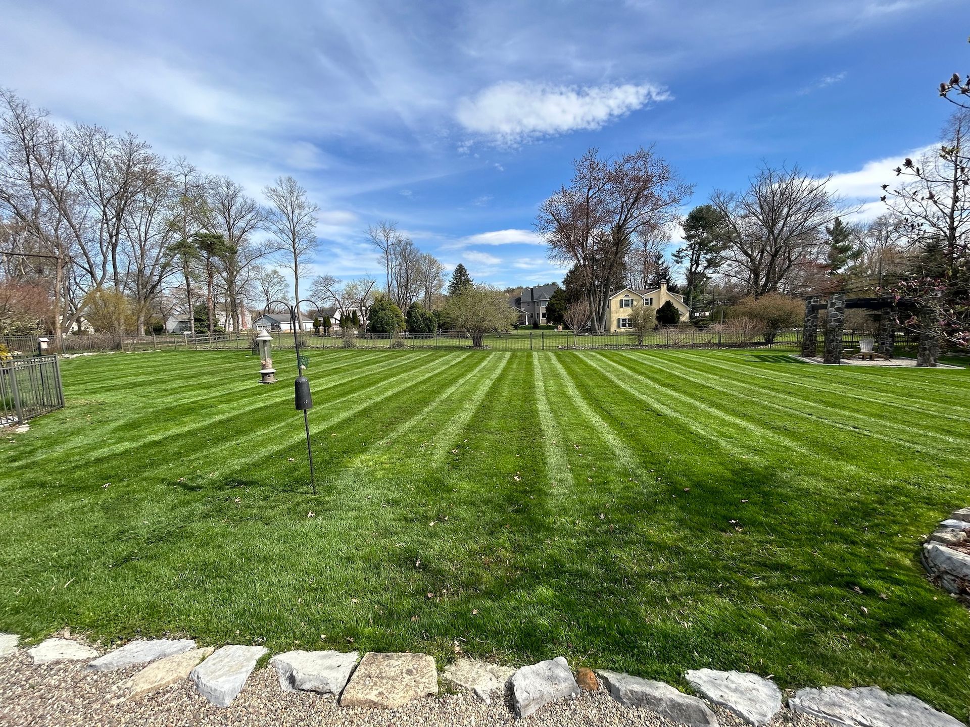 A large lush green lawn with trees in the background on a sunny day.