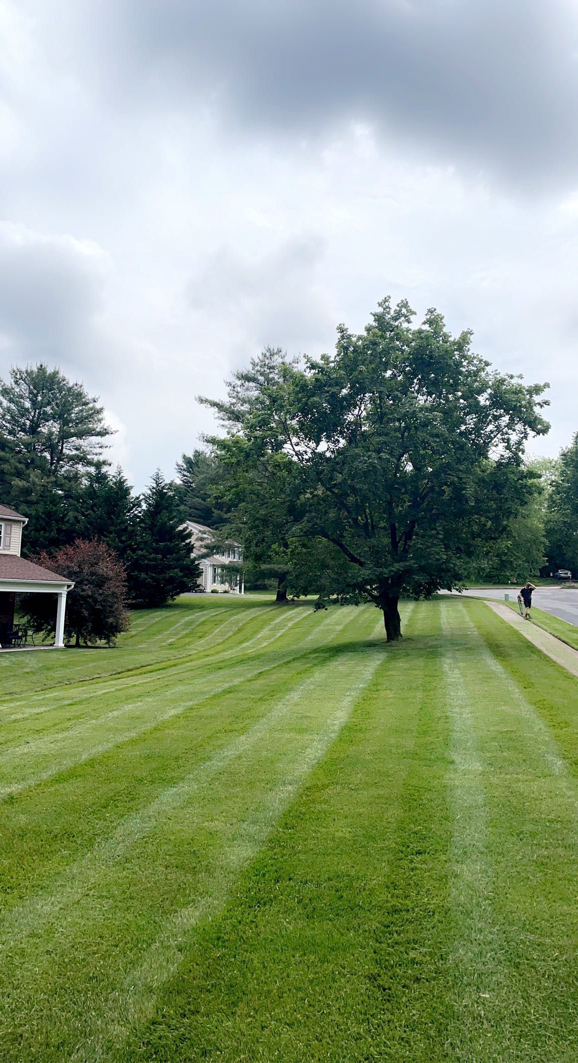 Lawn Care