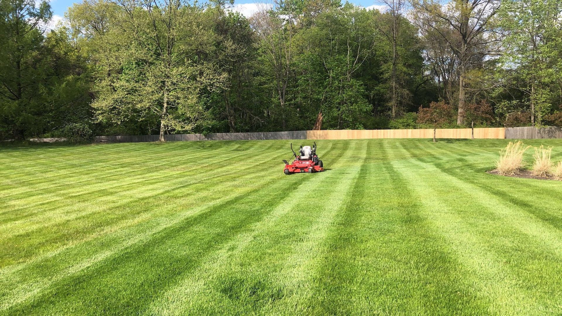 Mowing Lawn
