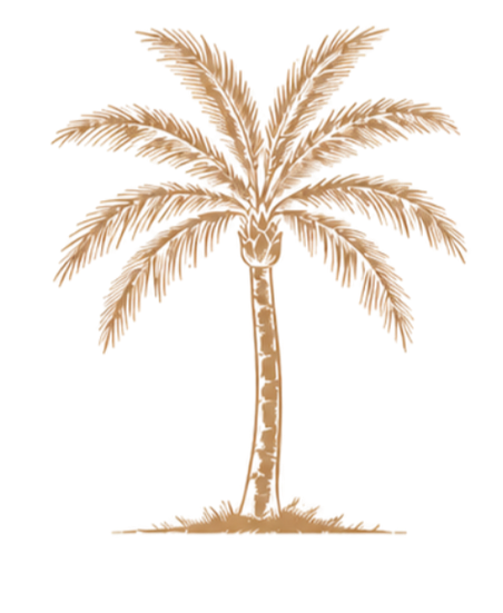 Beige palm tree illustration with a slender trunk and arching fronds on a white background