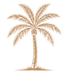 Beige palm tree illustration with a slender trunk and arching fronds on a white background