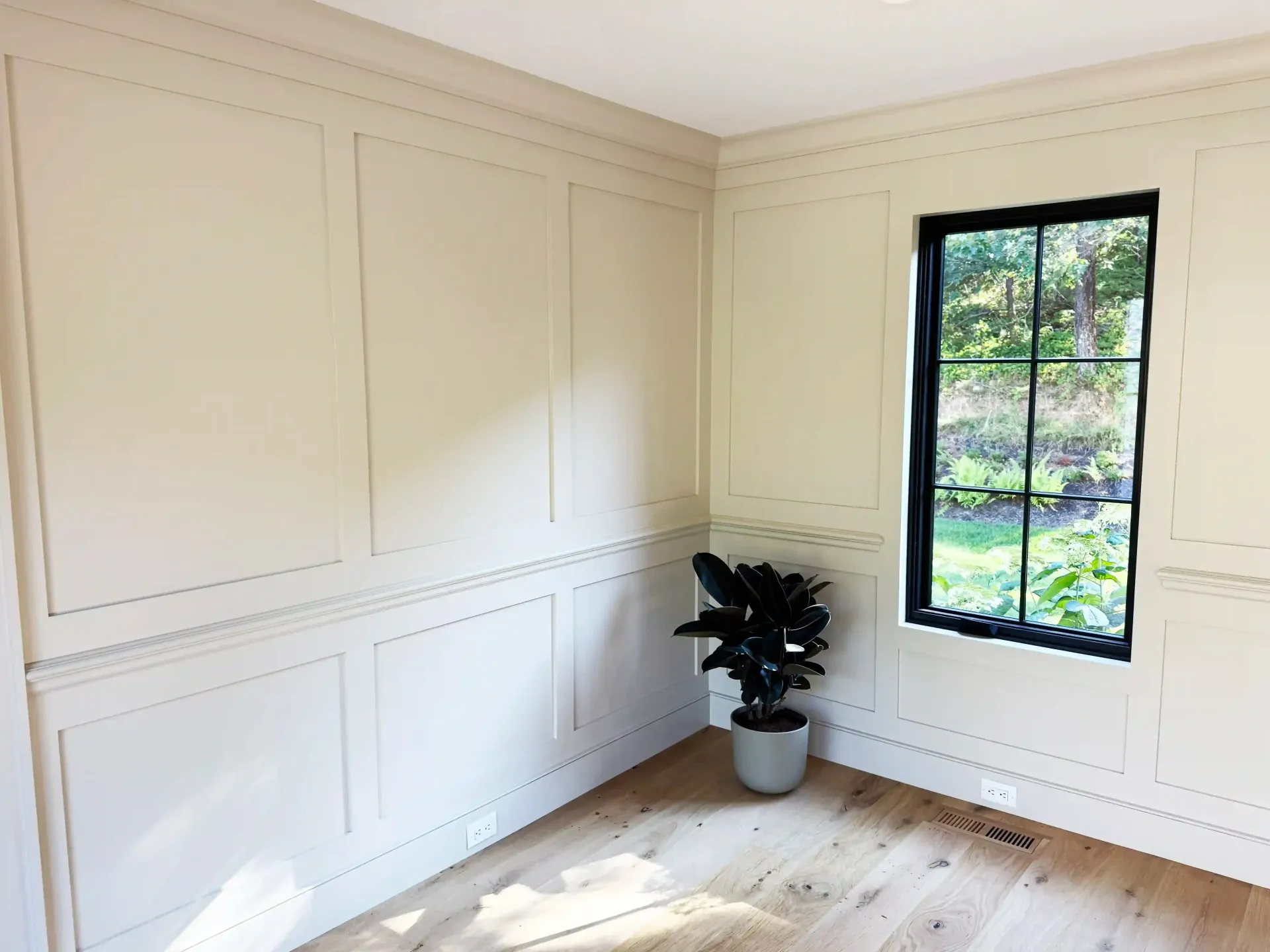 Empty white paneled room with a black-framed window, light wood floor, and a potted plant in the corner