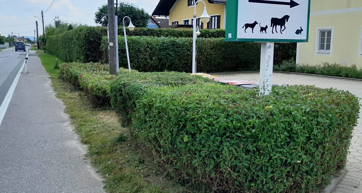 Ein Schild am Straßenrand weist den Weg zu einem Tierarzt.