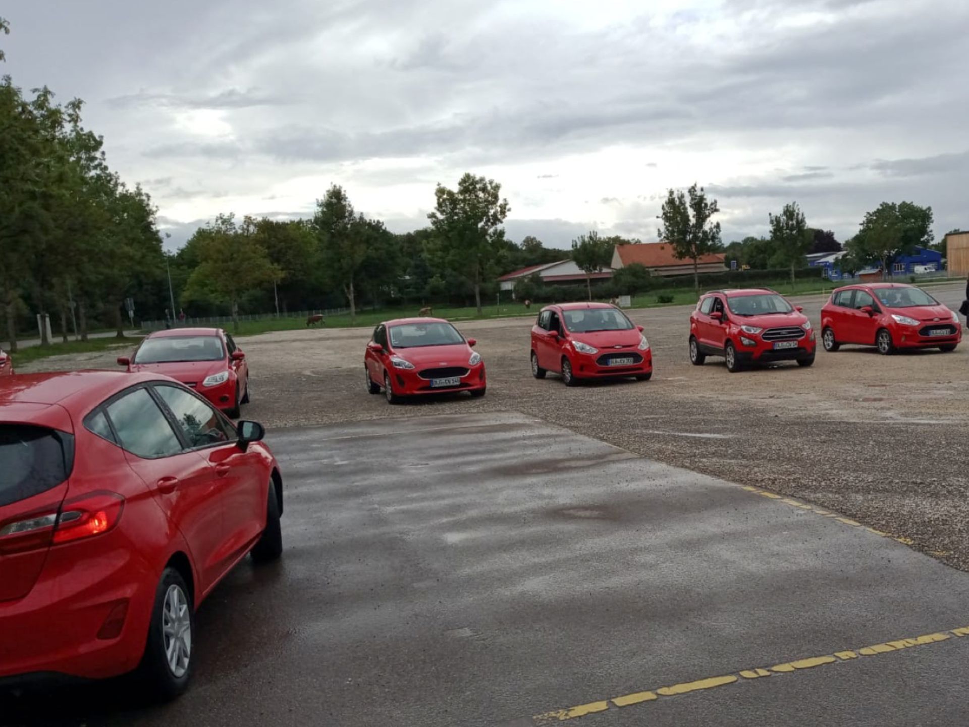 Auf einem Parkplatz parkt eine Reihe roter Autos