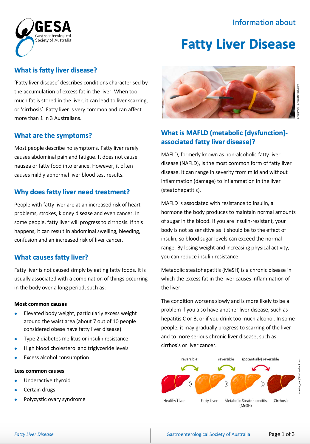 Fatty Liver Disease Sydney