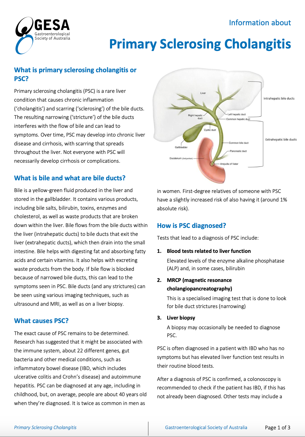 Primary Sclerosing Cholangitis Sydney