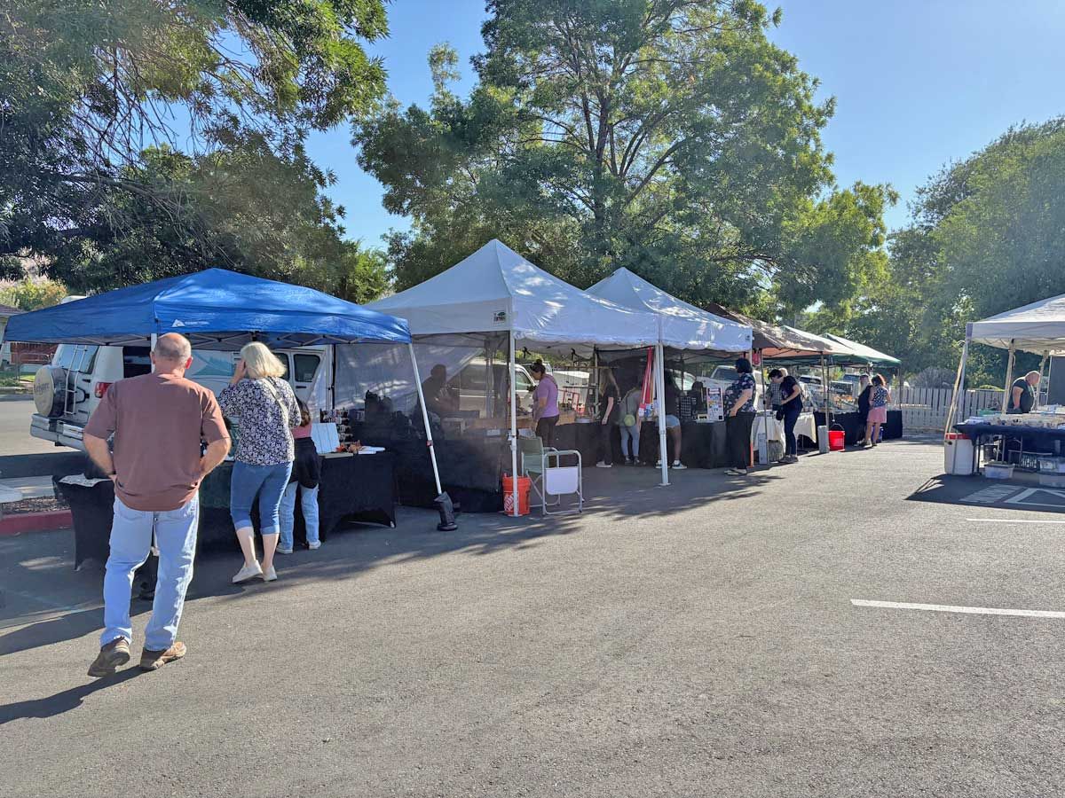People browse a line of vendor stalls with pop-up canopies set up in a sunny, paved parking lot.