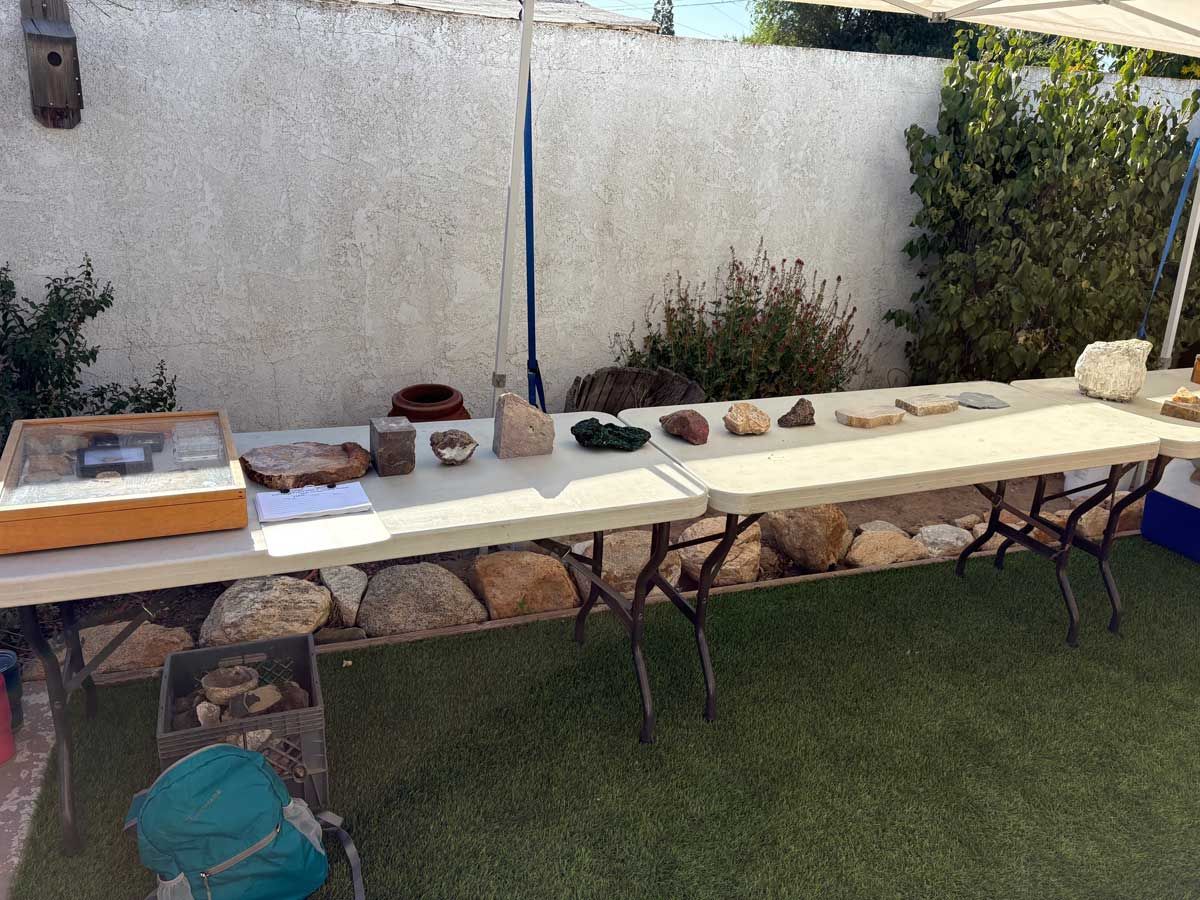 Outdoor table display featuring various rocks, minerals, and fossils, with a wooden crate and bag underneath on grass.