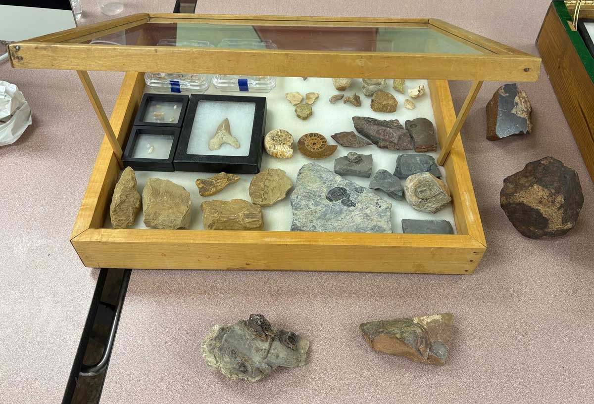Glass display case with assorted rocks and minerals arranged on a tabletop and floor tiles