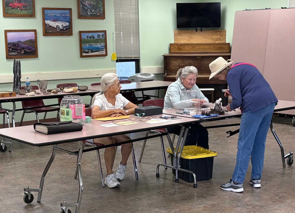 Volunteers at a table in a community room sorting items, with framed pictures on the wall and a TV in the background
