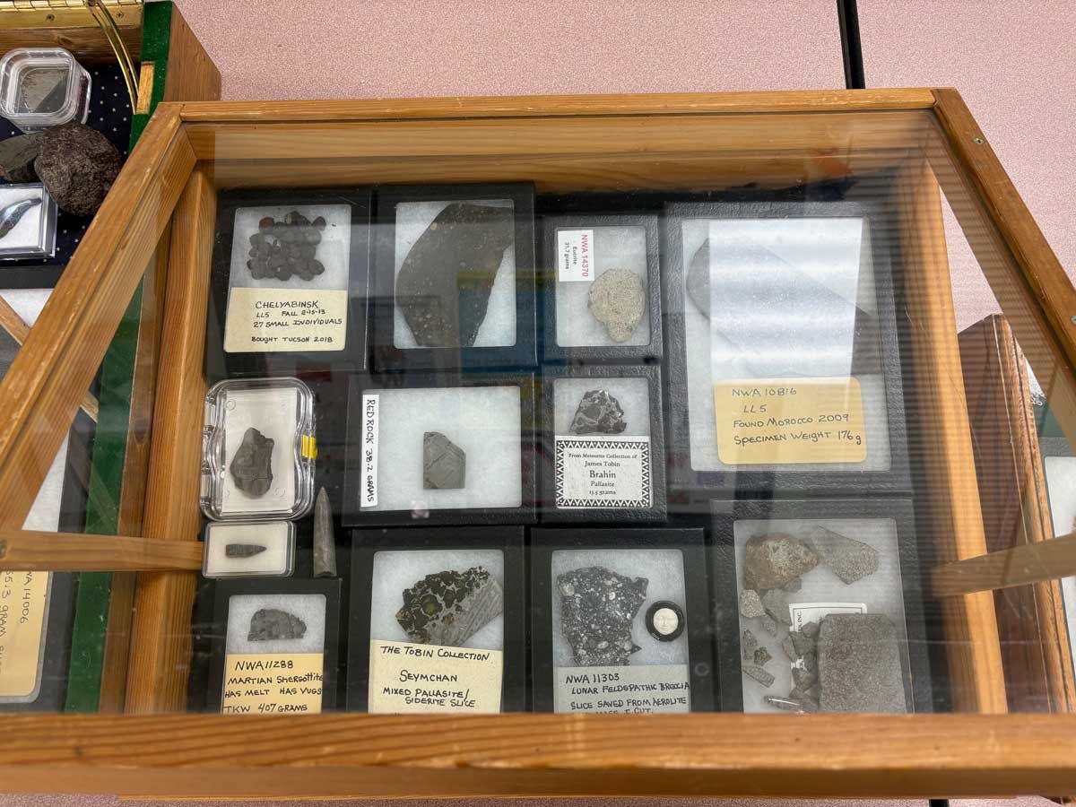 Glass display case of small labeled mineral or fossil specimens in compartments