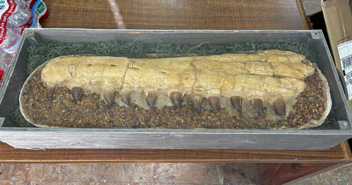 Loaf of bread in a metal baking pan, with a golden crust and sliced top.