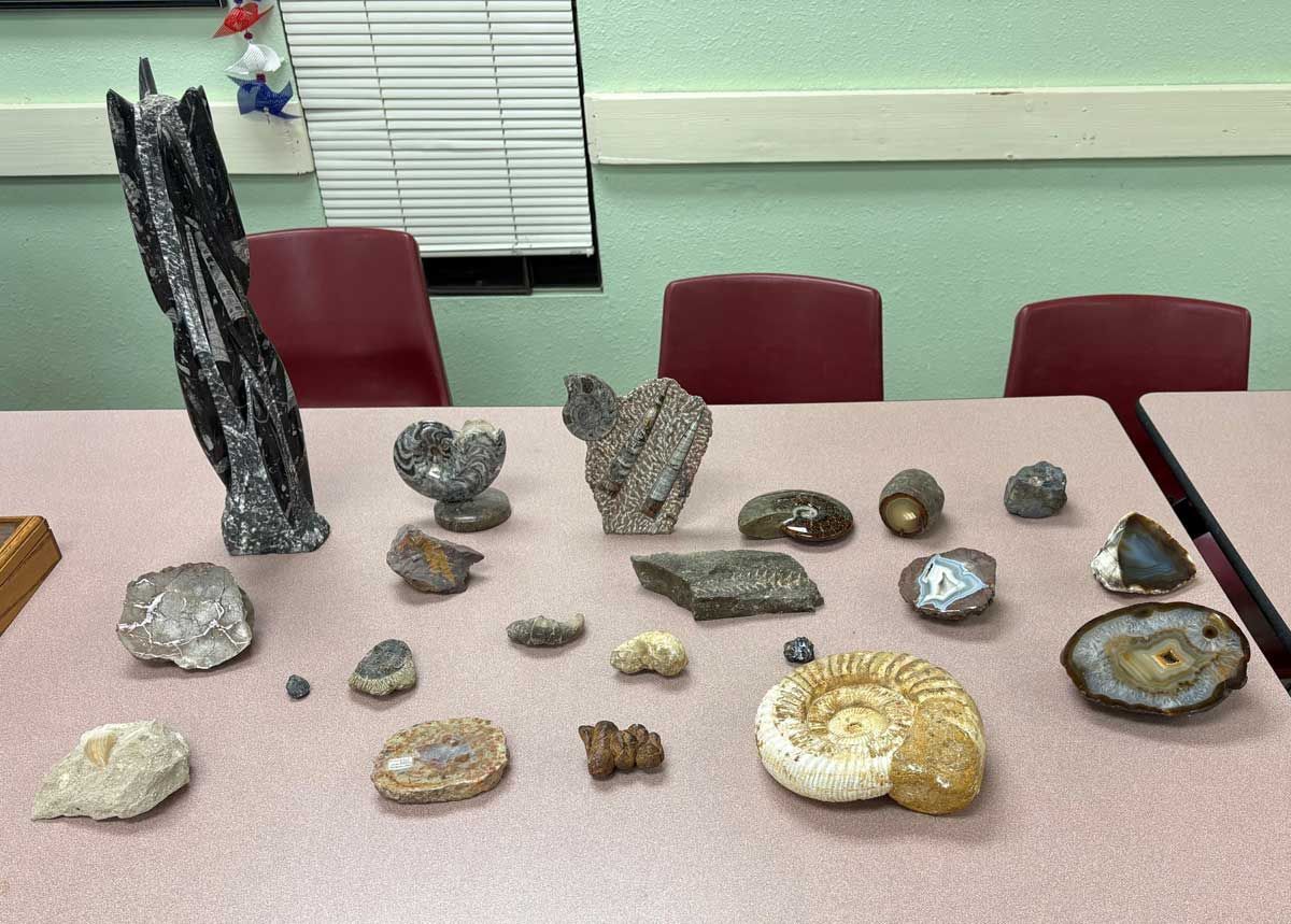 Display of assorted minerals and fossils on a table in a room with red chairs and a window shutter.