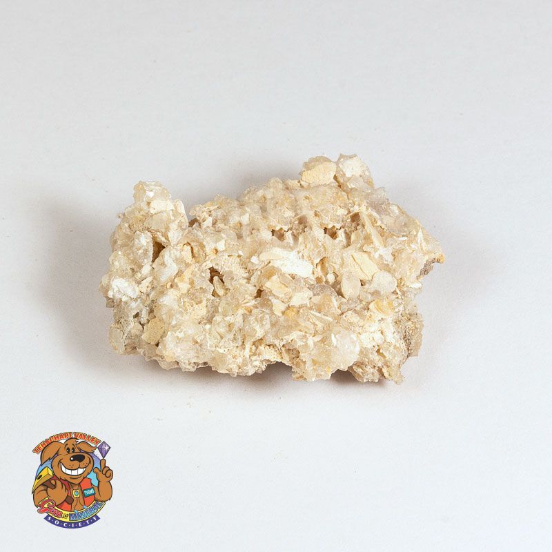 COQUINA