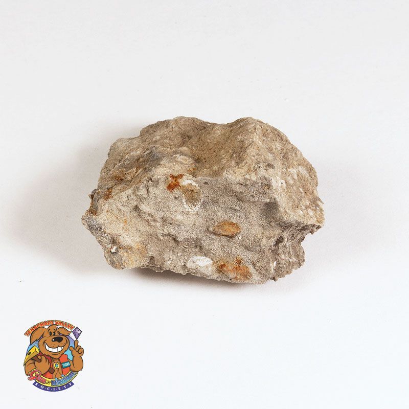 FOSSILIFEROUS CHERT