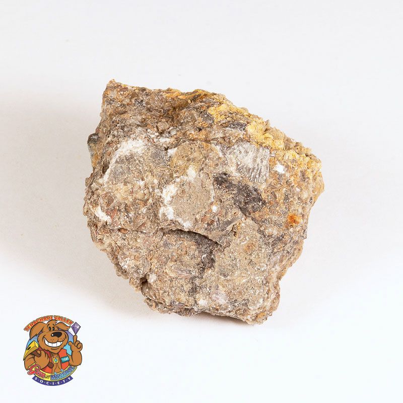 FOSSIL LIMESTONE (BIOSPARITE)