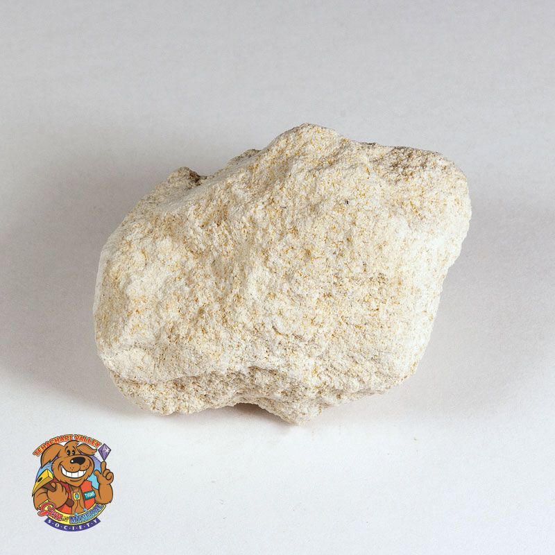 FOSSIL LIMESTONE (BIOMICRITE)