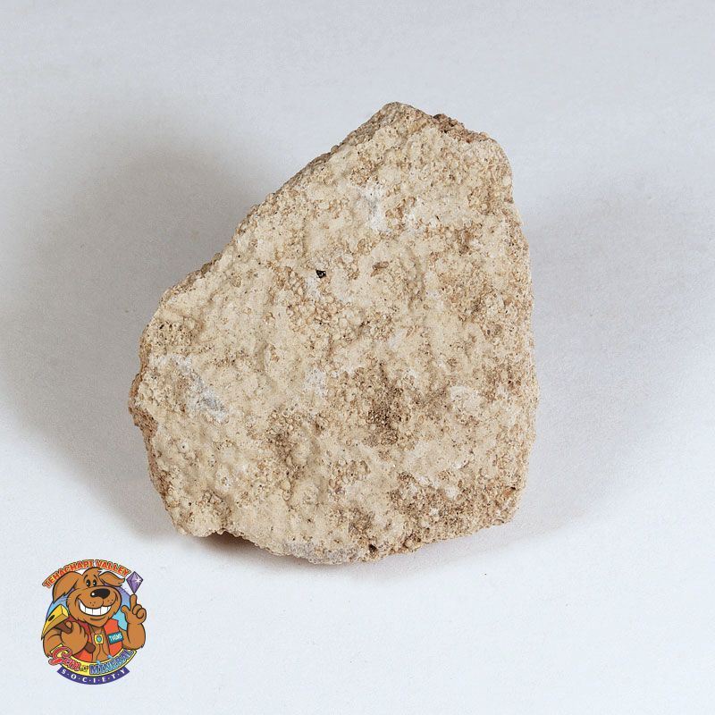 FOSSIL OOLITIC LIMESTONE