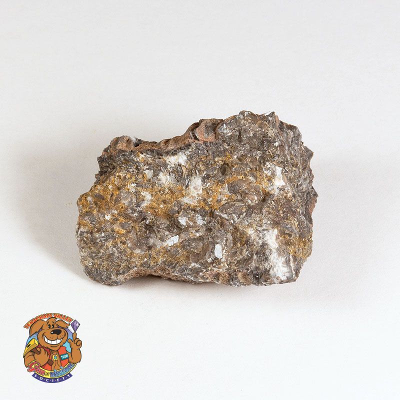 CRINOIDAL LIMESTONE