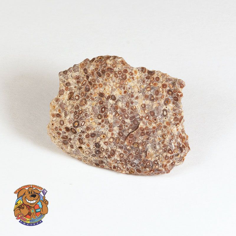 SILICEOUS OOLITE