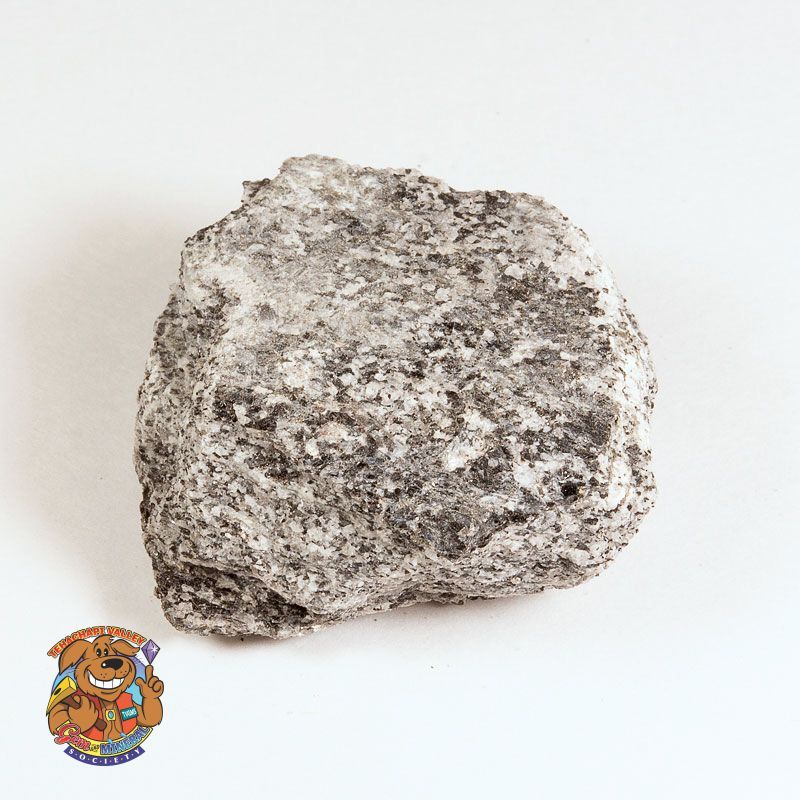 BIOTITE GNEISS