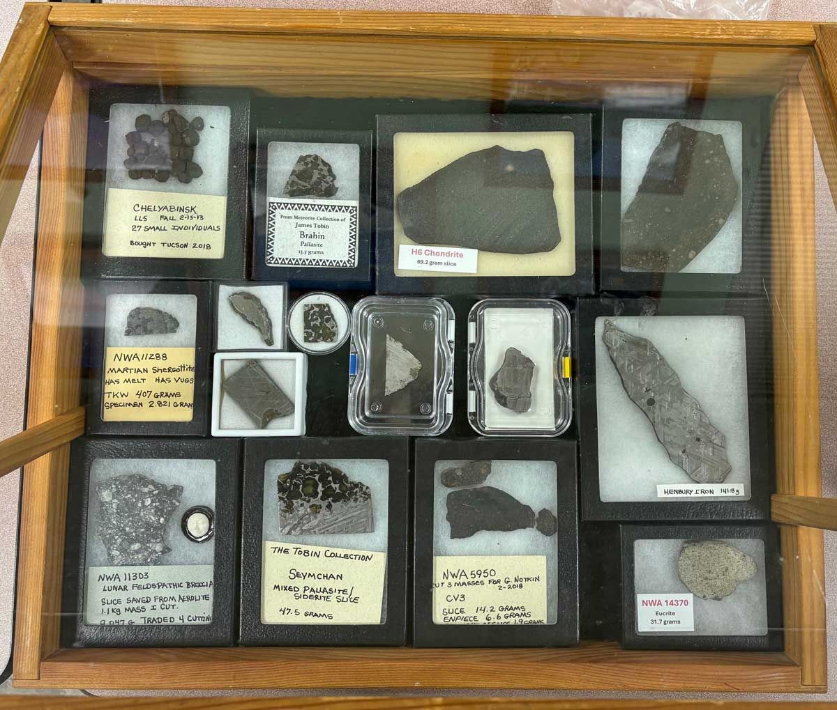 A wooden display case containing several labeled meteorite specimens of various shapes and sizes on white backing.
