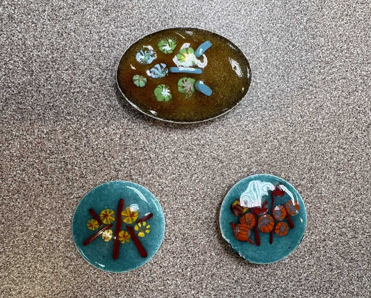 TVGMS Enamel Class