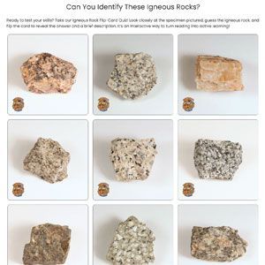 A 3x3 grid of labeled igneous rock specimens with a title at the top.