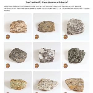 Nine metamorphic rock samples arranged in a 3x3 grid on a white background.