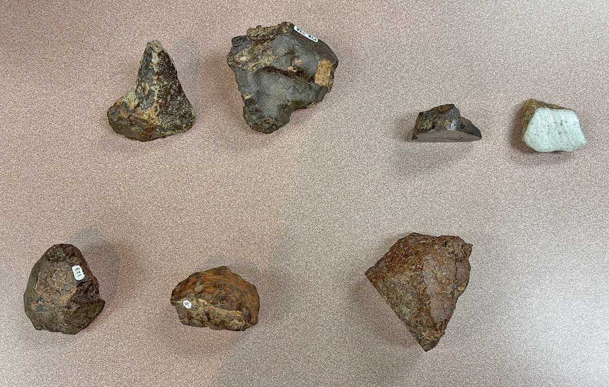Seven assorted brown, rough-textured rocks are arranged on a speckled, light-colored surface.