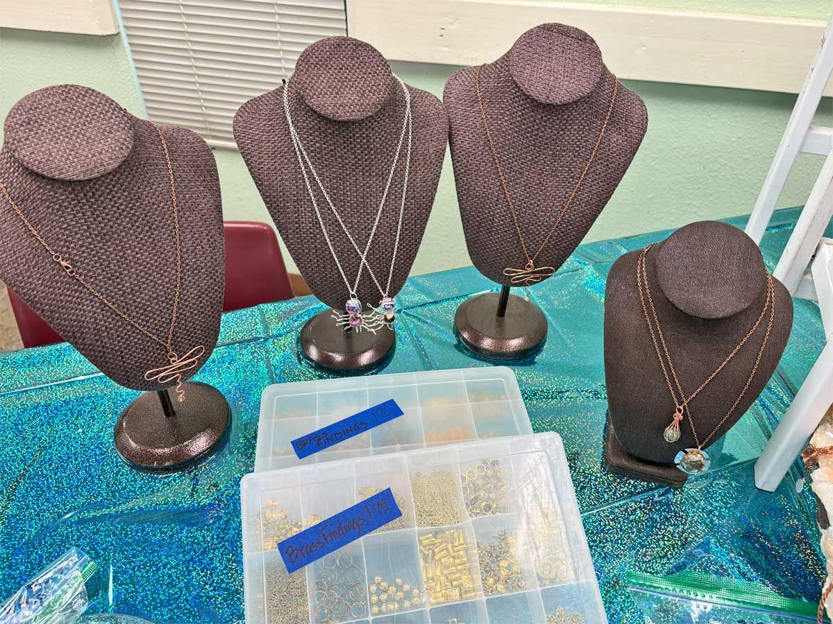 TVGMS class projects