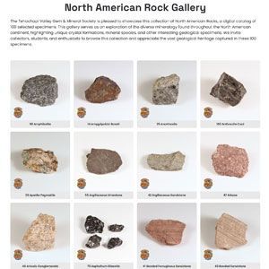 North American Rock Gallery poster showing labeled rock samples in a grid on a white background