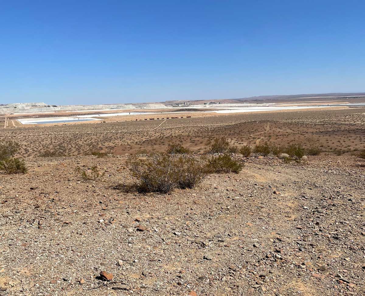 Arid rocky plain with sparse shrubs under a clear blue sky, stretching to distant low hills