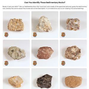 Grid of nine sedimentary rock samples with a prompt to identify them by texture and color