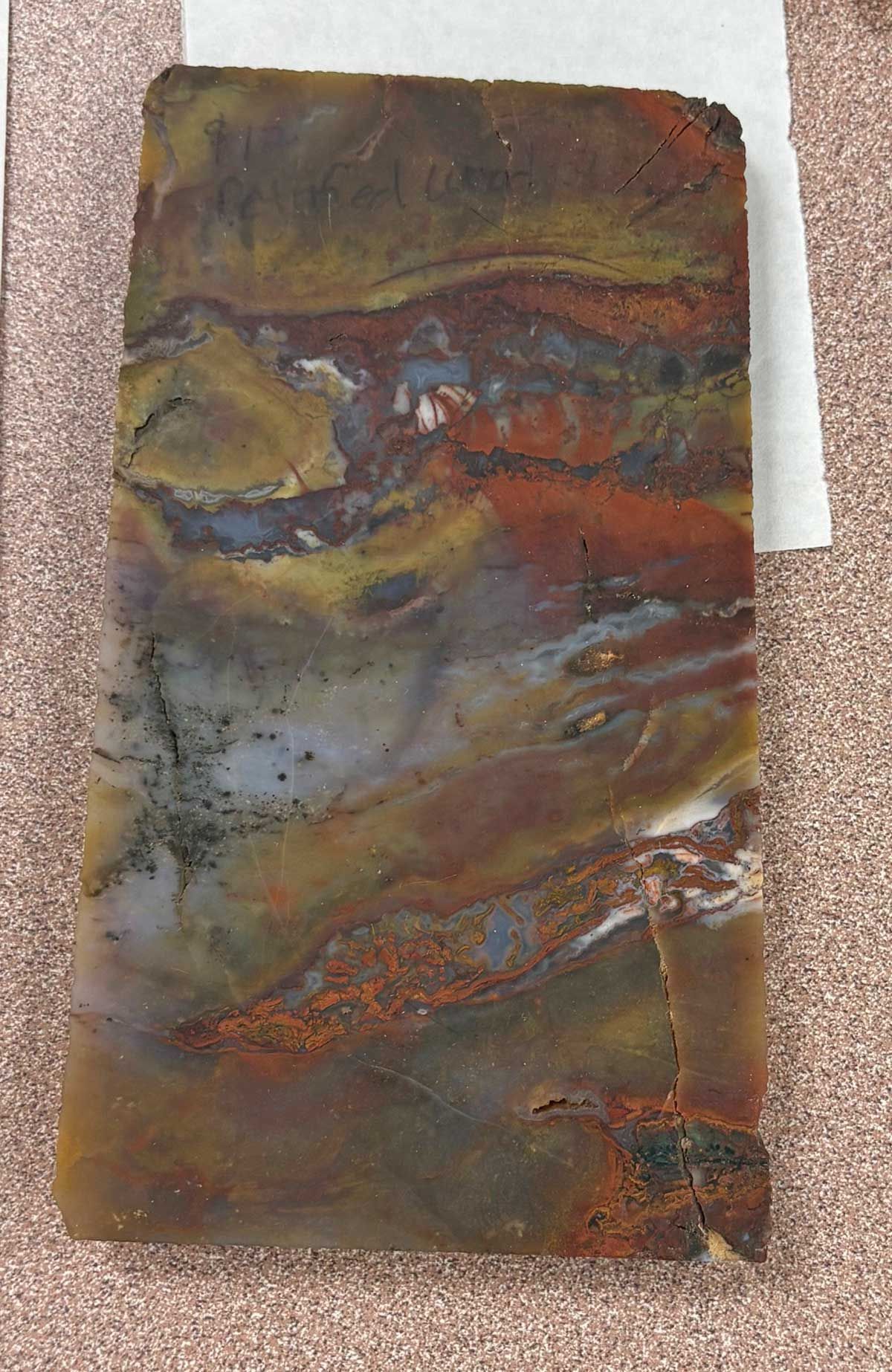 Abstract rectangular painting with earthy brown, green, red, and blue swirls on a textured background