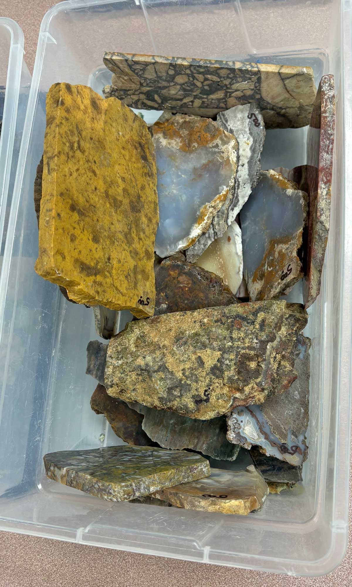 Plastic container holding assorted rough rocks and mineral samples in gray, brown, yellow, and silver tones