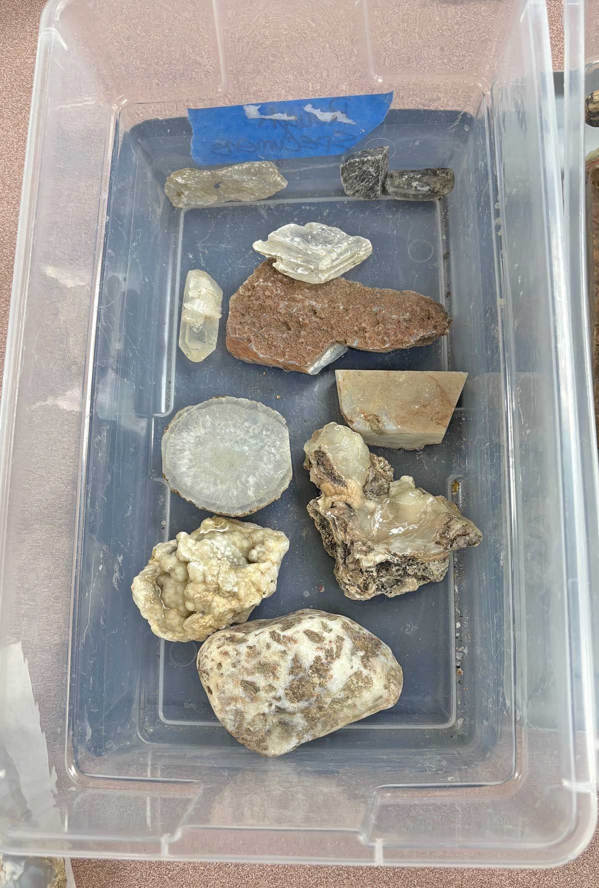 Small plastic container holding assorted rocks, pebbles, and mineral specimens on a dark tray.