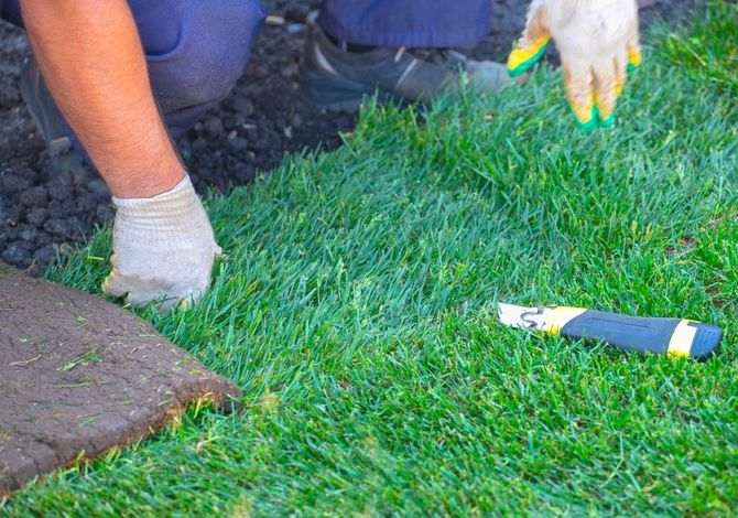 Person kneeling on grass with gloves, holding a garden trowel near a stone path
