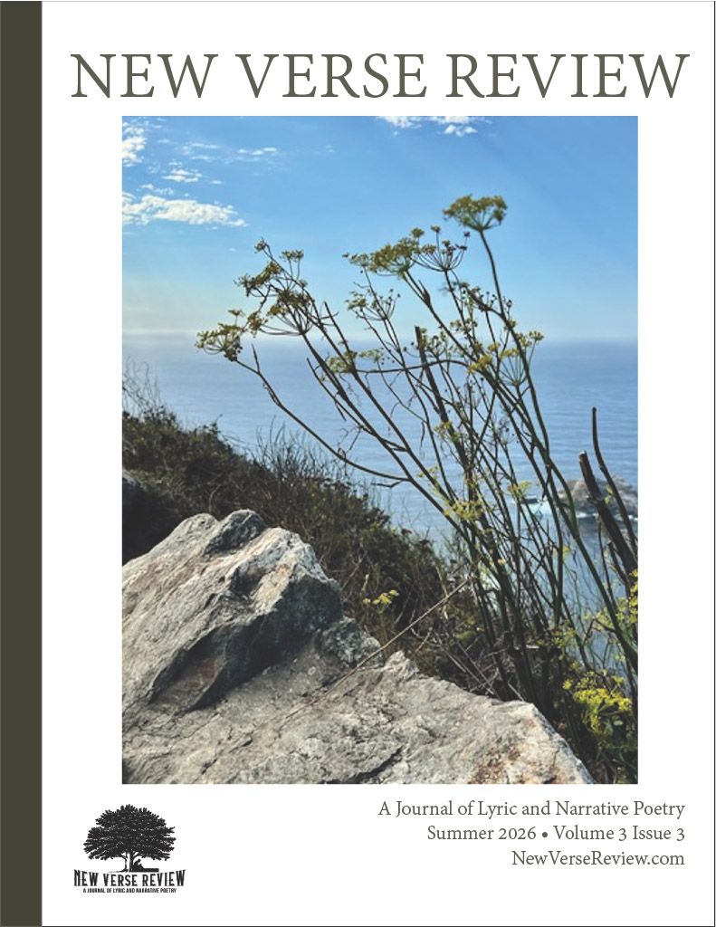 New Verse Review Summer 1.1. Cover Image