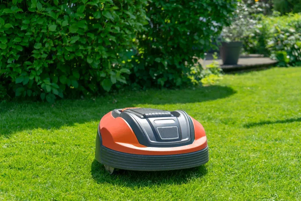 Orange and black robotic lawnmower on green grass in a sunny yard. — Jack Too You Mobile Servicing and Repairs In Yandina, QLD