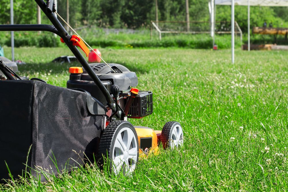 Lawnmower cutting tall green grass in a sunny field — Jack Too You Mobile Servicing and Repairs In Goomboorian, QLD