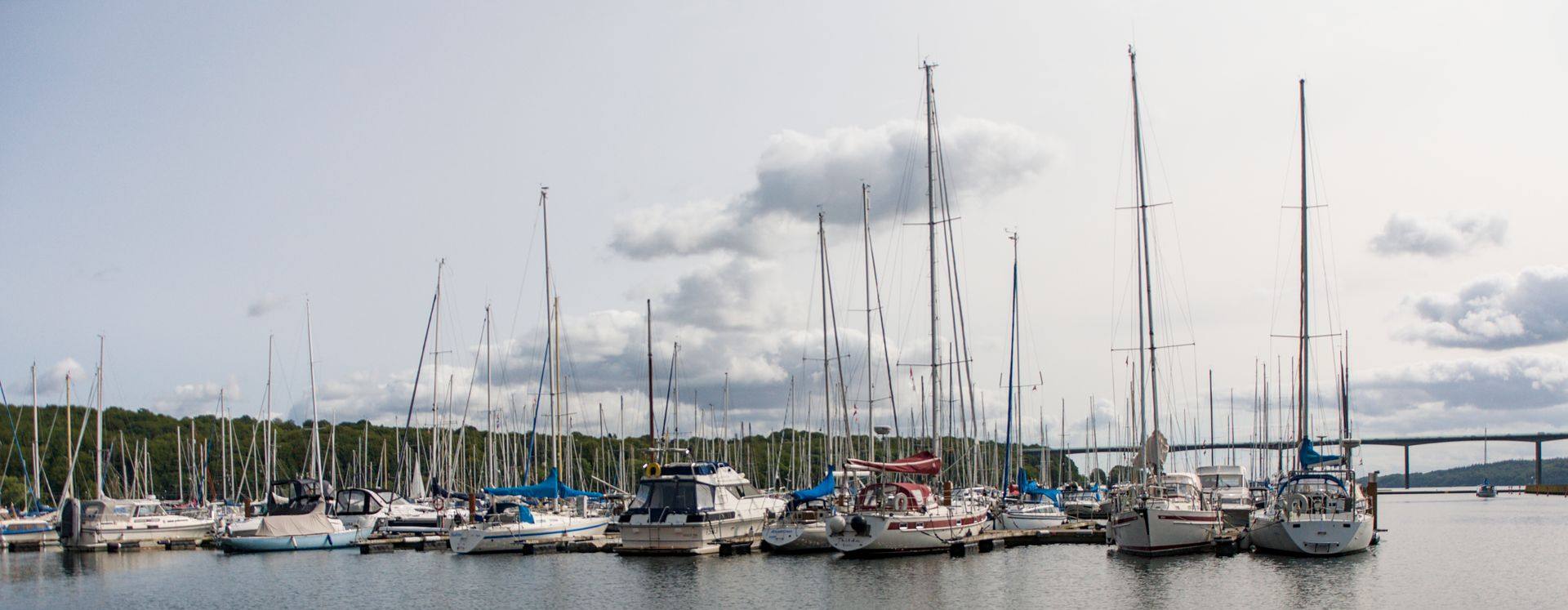 Een rij zeilboten ligt aangemeerd in een rustige jachthaven onder een bewolkte hemel.