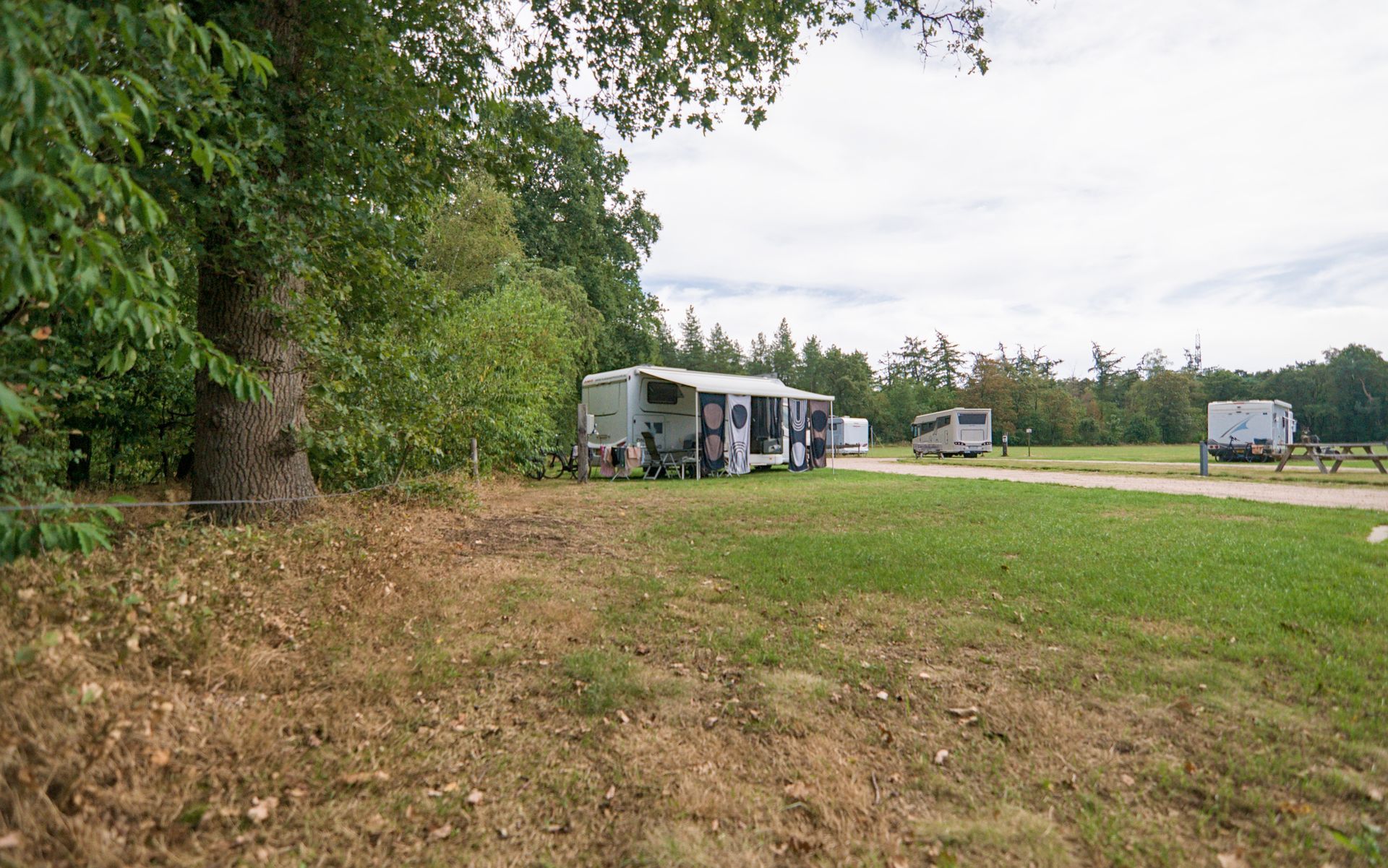 Een landelijke camperplaats met een open grasveld, bomen en geparkeerde caravans onder een bewolkte hemel.
