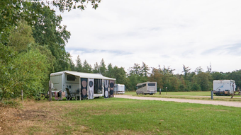 Een grasrijke camping met bomen, geparkeerde campers en een bewolkte hemel.