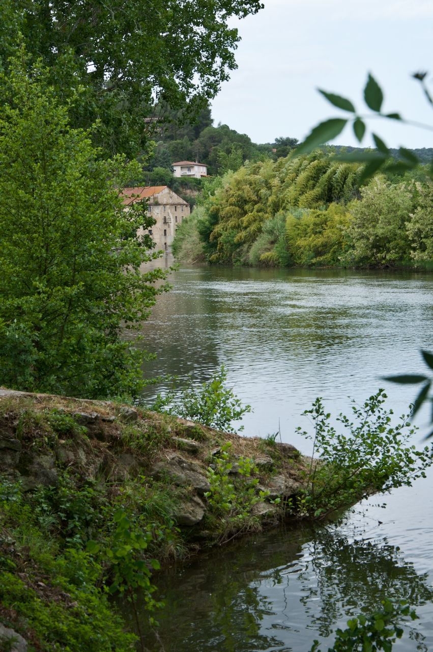 Rivier met groen Calm river bordered by lush green trees and shrubs, with a distant stone building on the far bank