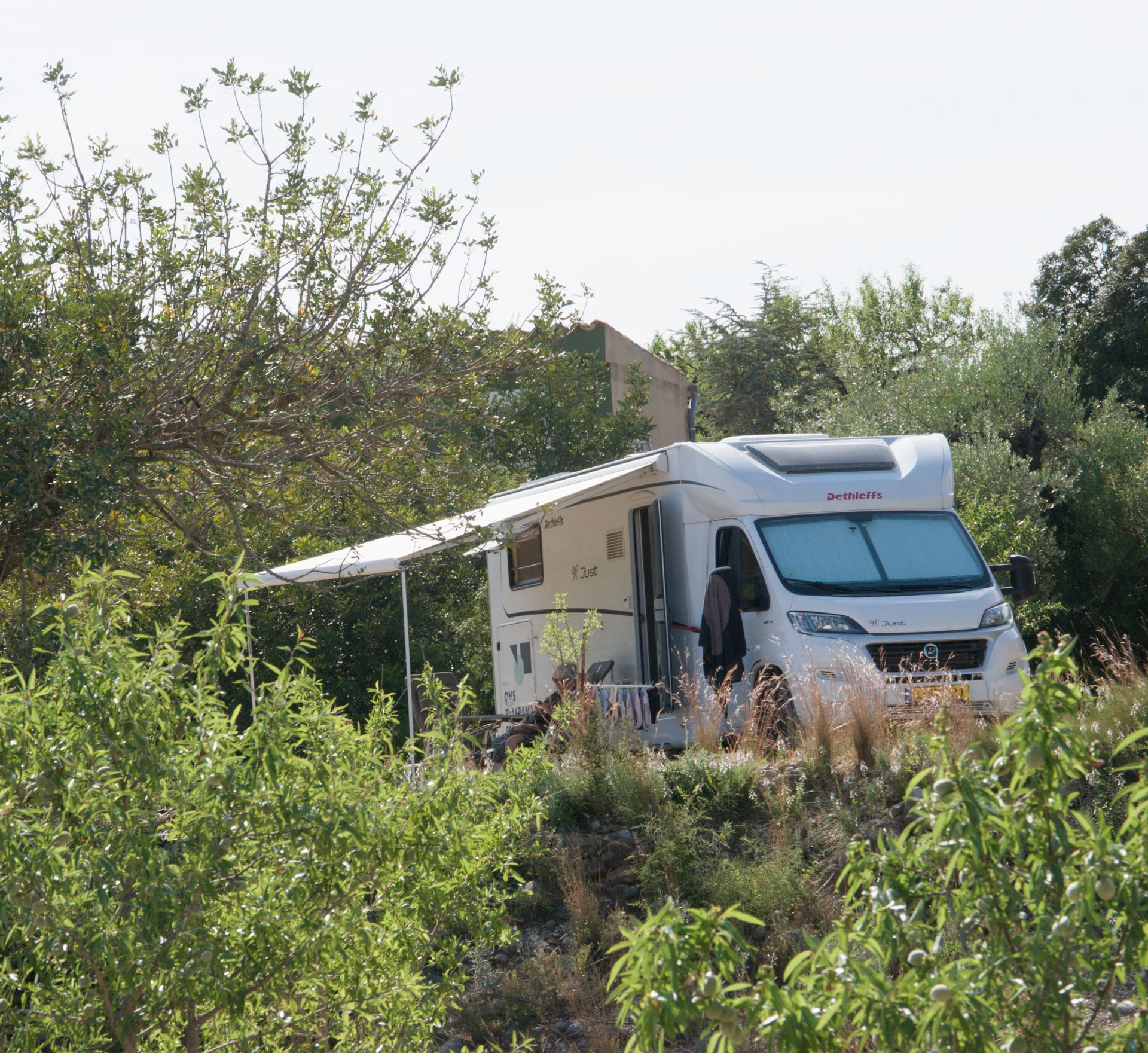 White RV trailer parked off-road among dense green bushes and trees under a bright sky