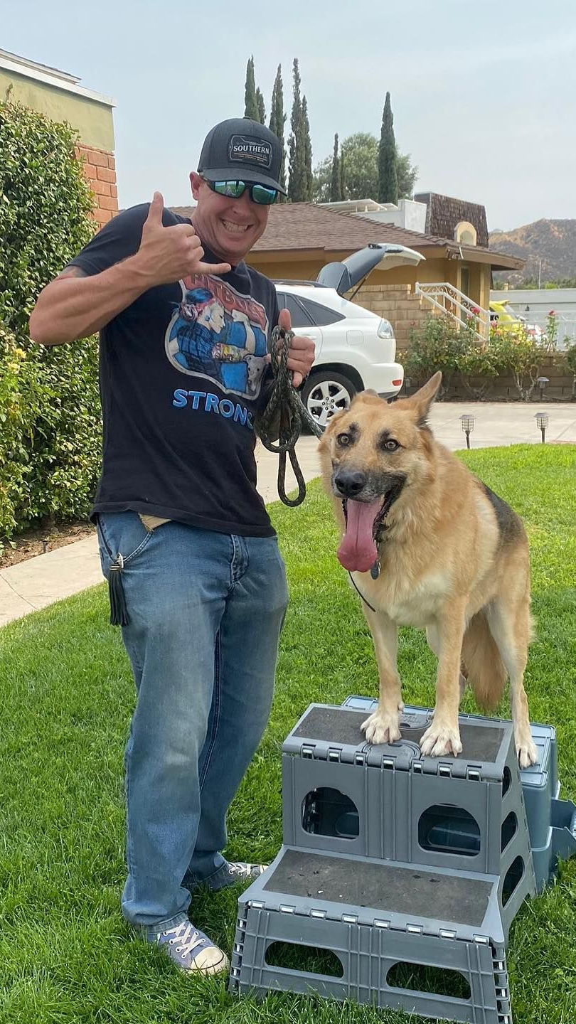 Dog 1