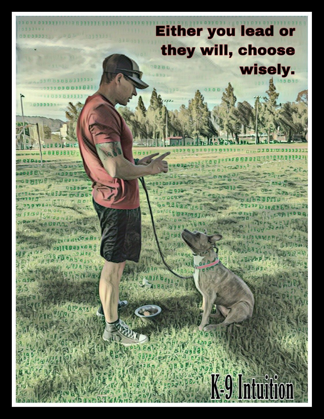 Dog 5